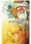 Masnavi maulana room vol- 6